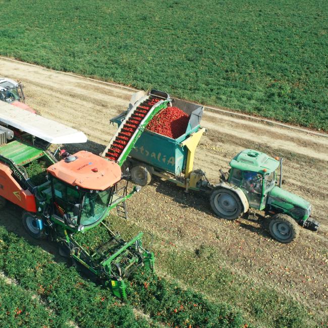 Topcon EIMA