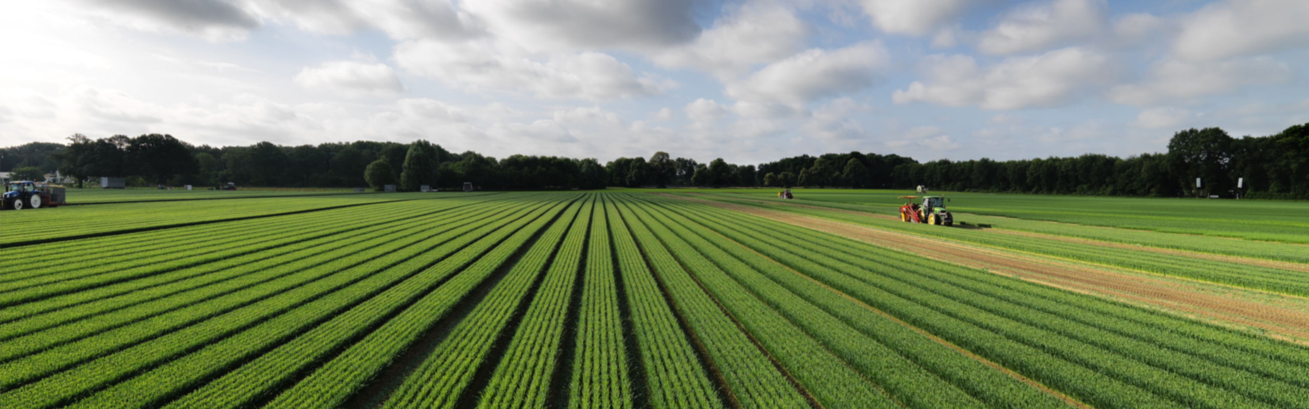 Voorsprong door kennis